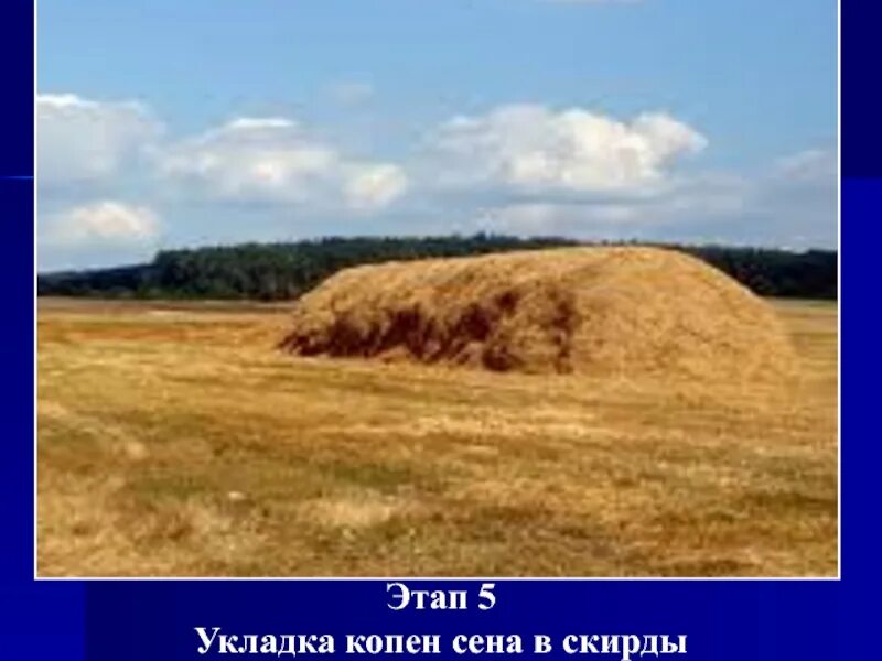 Значение слова скирда для 1 класса. Что такое стог скирда зарод и копна. укладка в скирды. что такое скирда словарь. что такое скирды 1 класс.