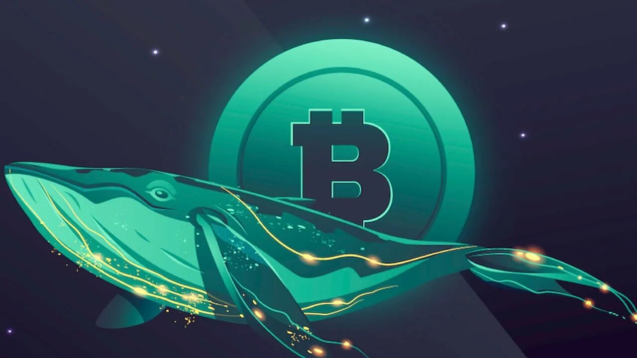 Top 10 bitcoin whales part