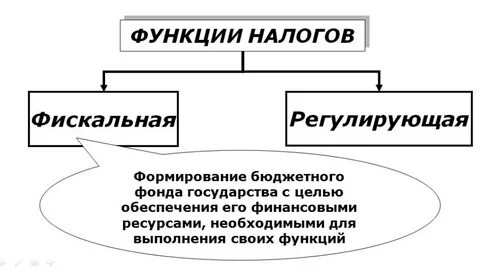 Виды и функции налогов и сборов