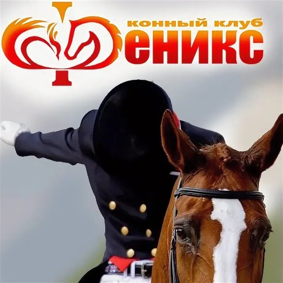 Феникс кск