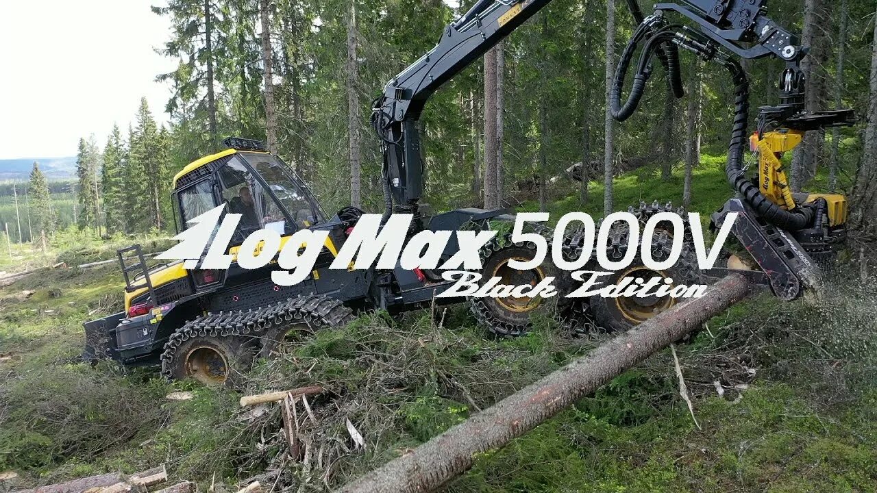 Log max