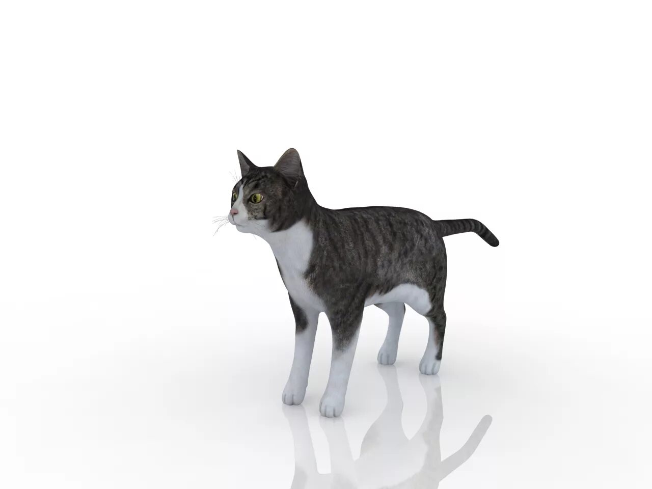 Бесплатный кот 3д модель. Кошка моделька. кот 3d модель. макет кошки. модель кошки для 3d принтера.