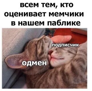 Оценили запись
