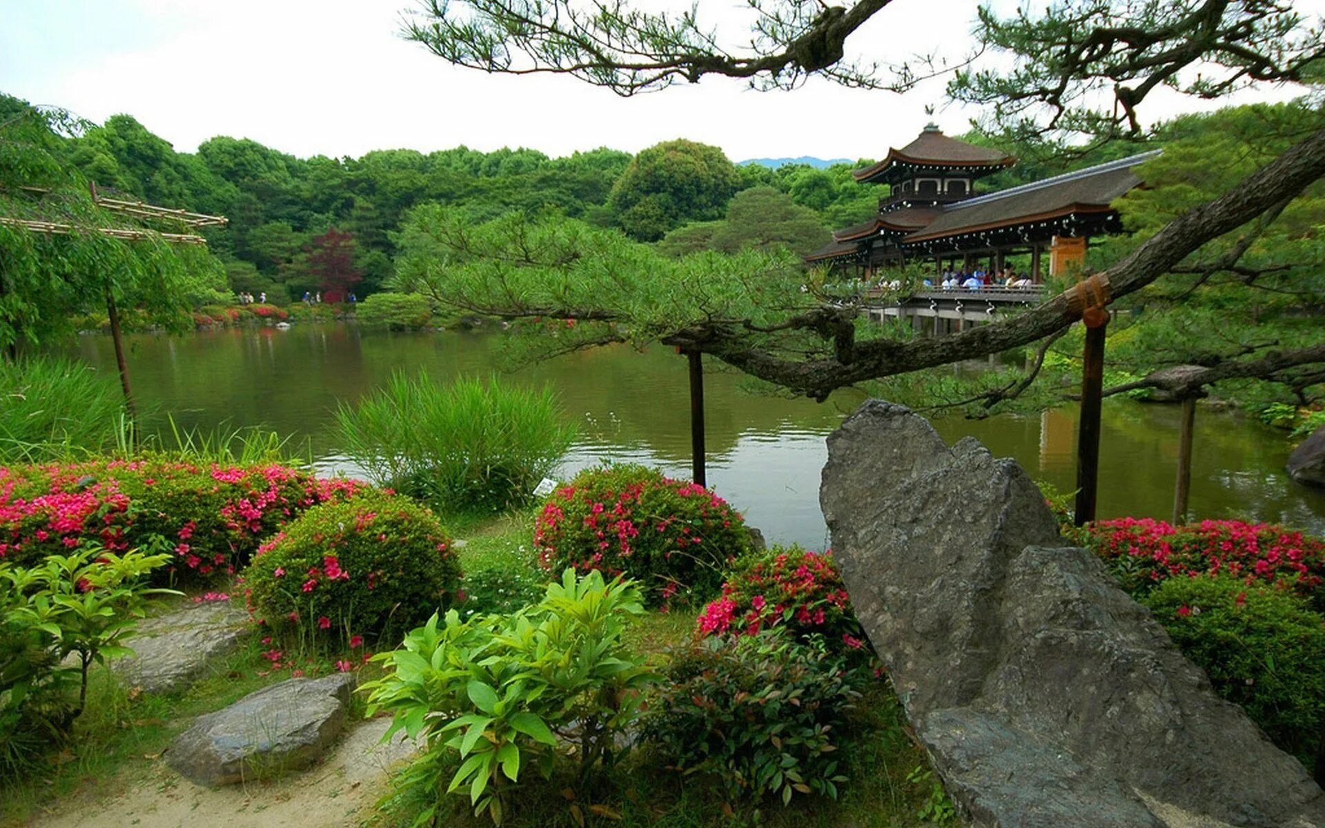 Стоки япония. Дзэнские сады Япония. Япония парки пруд Osaka. Киотский Ботанический сад в Японии. Сад Хонбо, Осака, Япония.