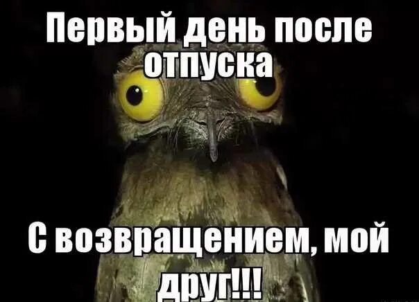 Выходить ц