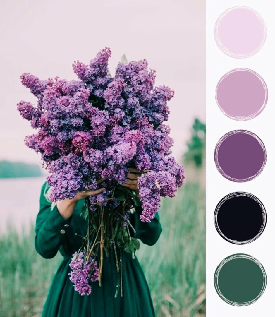 Сочетание цветов лавандовый. Цветовые сочетания в стиле прованс. Сочетание с фиолетовым. Лавандовый раф палитра. Лавандовый цвет сочетание с другими цветами.