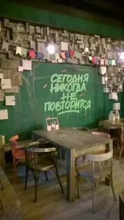 Декабрист белгород