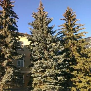 Камышинский санаторий
