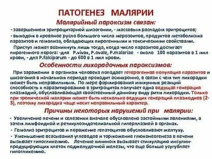 Нмо тесты малярия этиология. Нмо тесты малярия этиология. Нмо тесты малярия этиология. Нмо тесты малярия этиология. Нмо тесты малярия этиология.