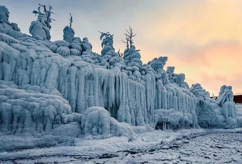 Ледяной лес