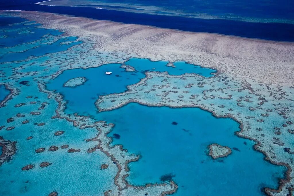 Коралловый риф протянувшийся вдоль восточной окраины материка. Большой Барьерный риф Австралия. Острова большого барьерного рифа. Коралловый Барьерный риф в Австралии. Великий Барьерный риф в Квинсленде..