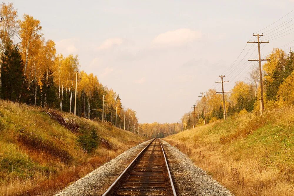 Поезд вдали. Пейзаж с линейной перспективой железная дорога. Железная дорога осень. Пейзаж с железной дорогой. Пейзаж с поездом.