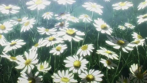 flower patch Anime flower, Flower anime, Daisy anime.