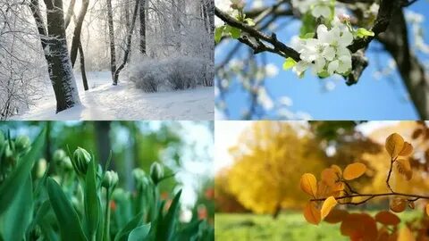 Коллаж времена года