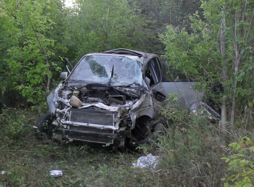 Дтп в михайловке волгоградской. Сбили лосенка в волгоградская область. Происшествия криминал новоаннинский. Происшествия криминал новоаннинский. Происшествия криминал новоаннинский.