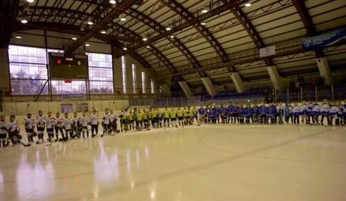 Заволжье ледовый дворец. Ледовый дворец заволжье. Ледовый дворец северсталь. Заволжье ледовый дворец. Ледовый дворец полярис владимир.