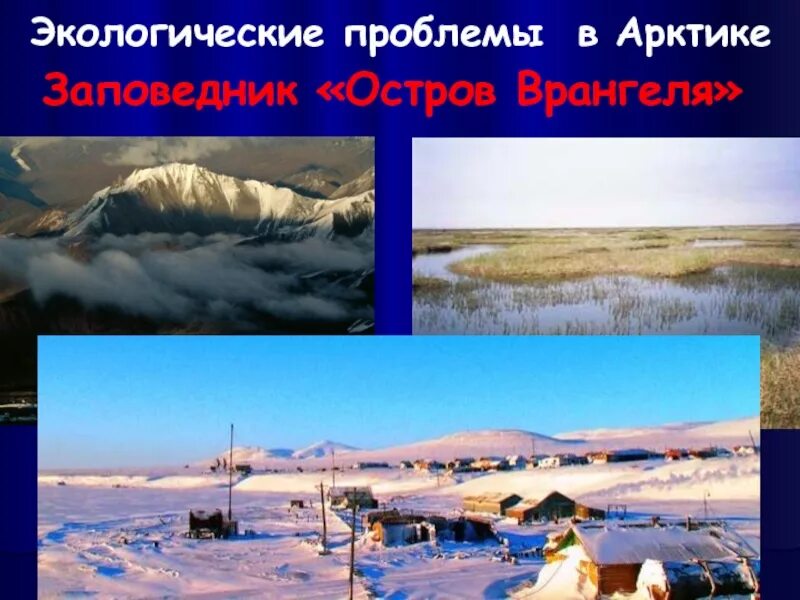 Проблемы охраны пустыни. Экологические проблемы арктик. экологическая ситуация в арктике. проблемы арктики. экологические проблемы арктических пустынь.