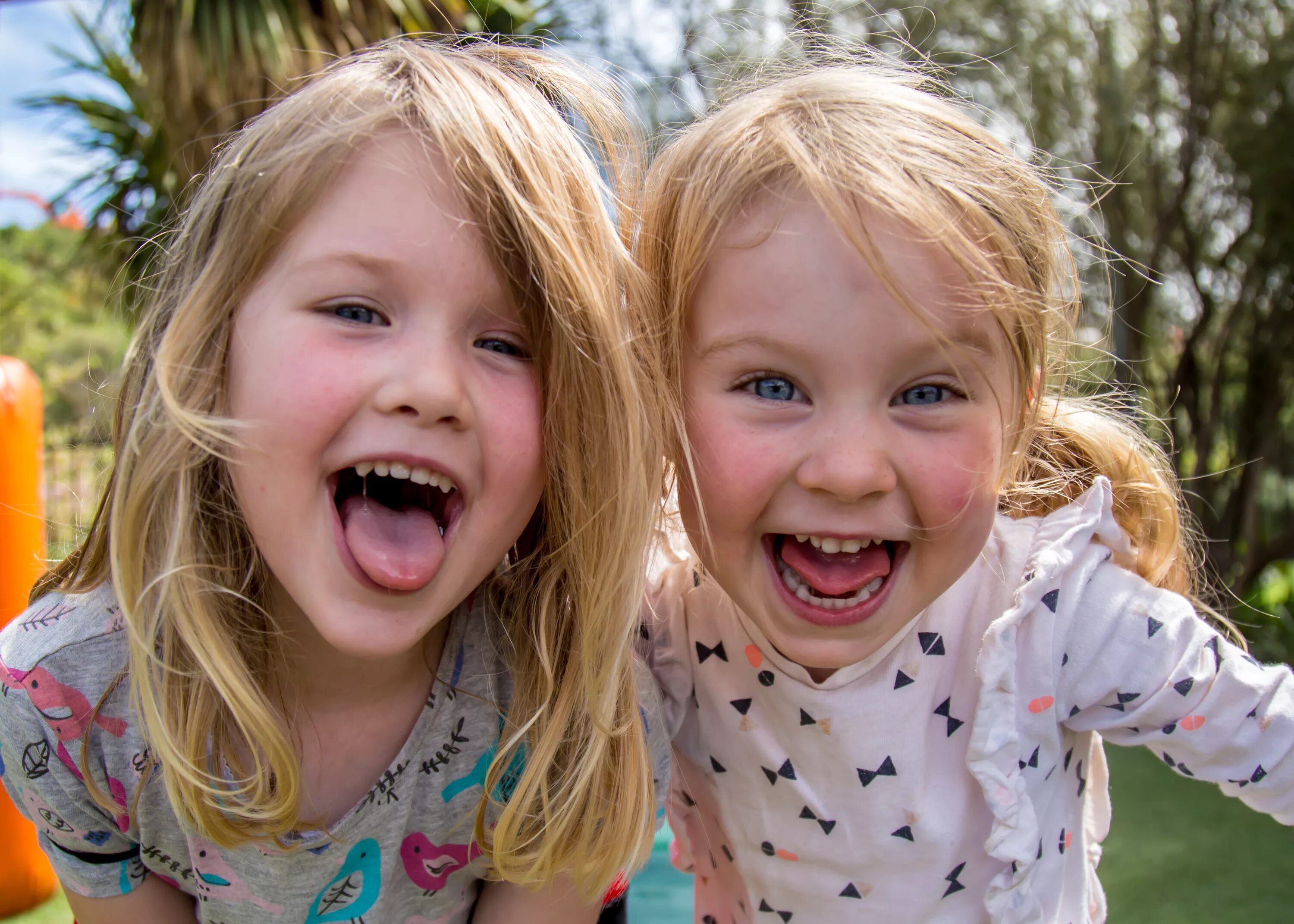 Sharedchat fun. Две подружки после школы. Tongue девочка. Sharedchat fun. Младшая сестра.