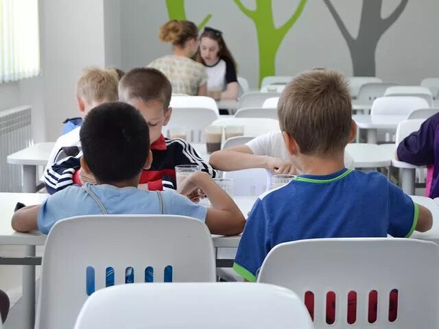 Работа школ в белгороде. Безналичная оплата питания в школах. айти школа белгород. система образования школы 50 белгород. подготовка к школе белгород.