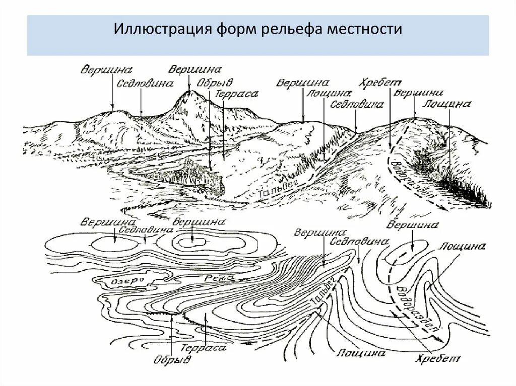 Лощина форма рельефа. Рельеф местности формы рельефа. Формы рельефа в горизонталях. Изображение основных форм рельефа.