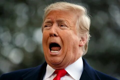 Trump meme
