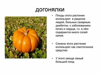 Огородные плоды