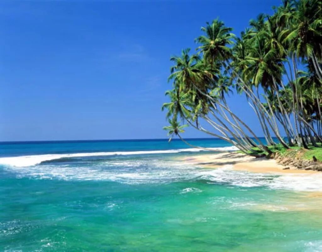 Хиккадува Шри Ланка. Пляж Хиккадува Шри Ланка. Шри Ланка океан. Шри Ланка экзотика. Шри ланка 20