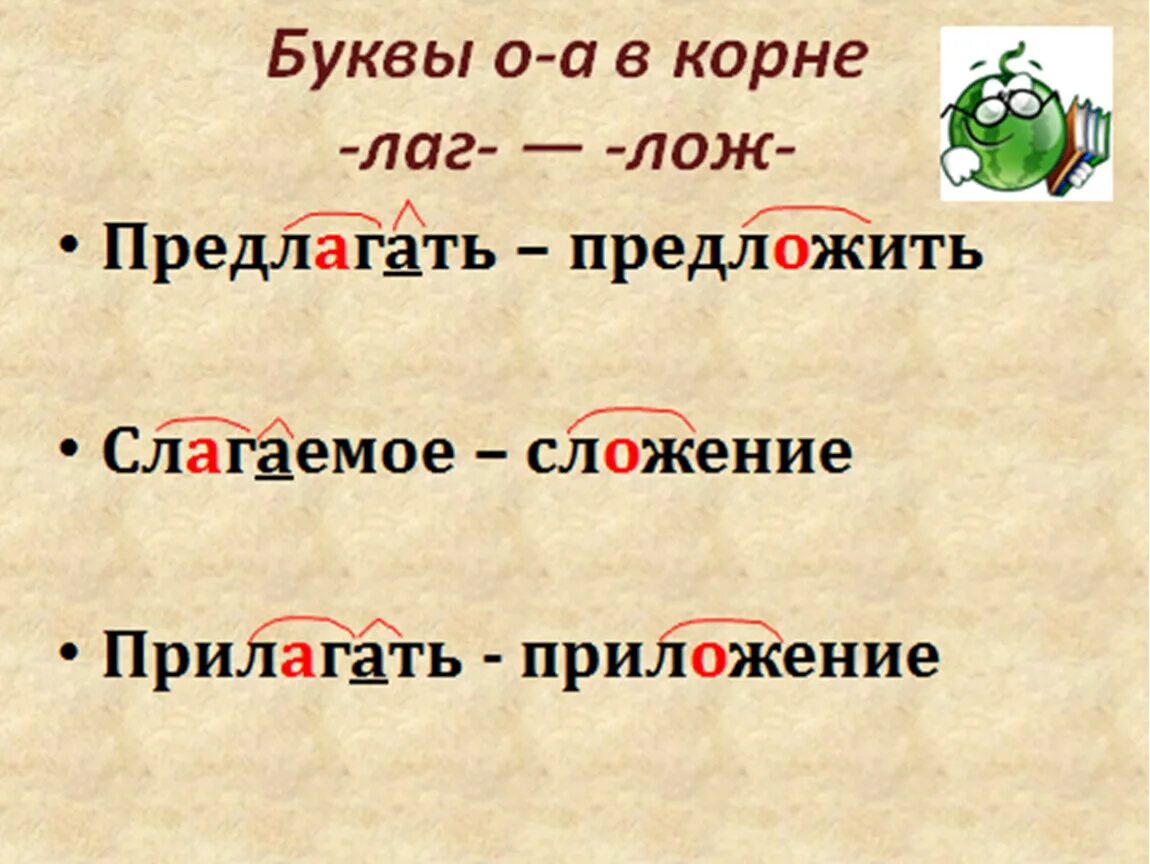 Корни лаг лож правило. Буквы а о в корне лаг лож правило. Корни лаг лож правило с примерами. Корни с чередованием лаг лож правило. Словосочетание с корнем лаг