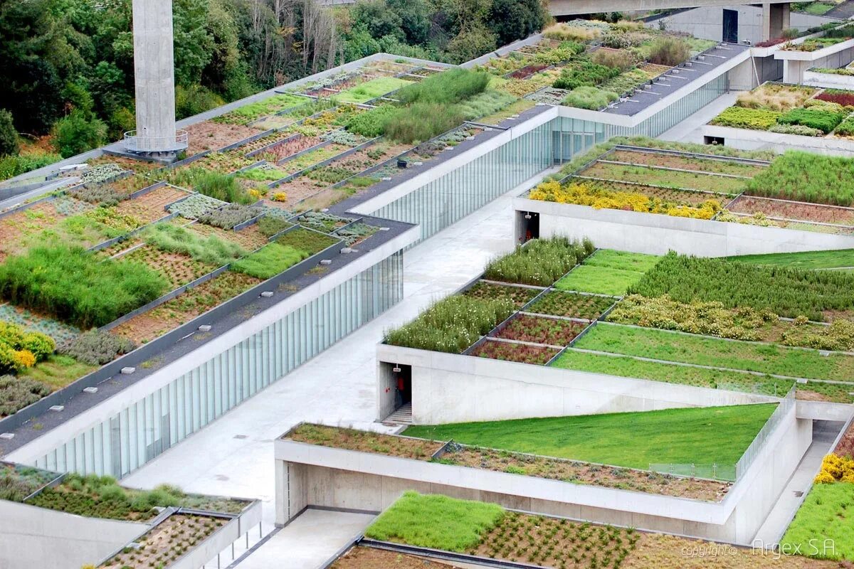 Эксплуатируемая плоская кровля Green Roof. Зеленая кровля (эксплуатируемая) плоская кровля. Зеленая кровля инверсионная интенсивная. Базель зеленая кровля.