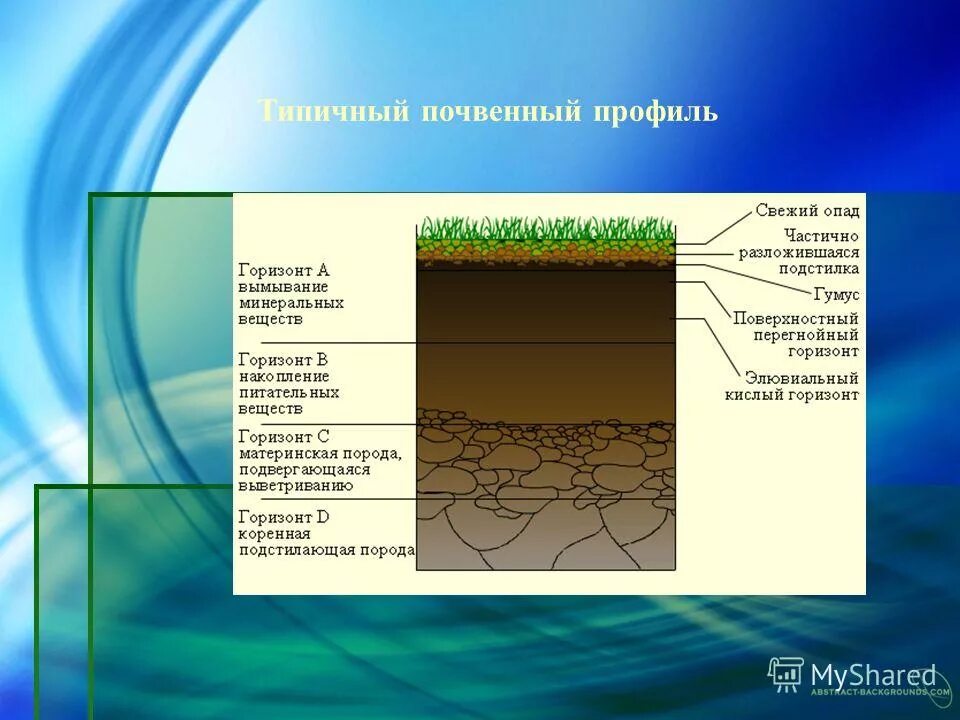 К материнской породе примыкает почвенный