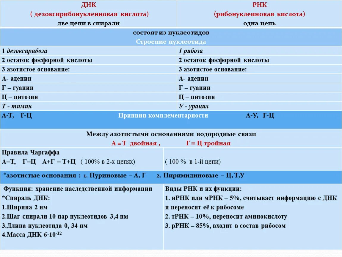 Число нуклеотидов в днк и рнк. Соотношение нуклеотидов в РНК. ДНК ИРНК ТРНК. Длина и масса ДНК. Соотношение нуклеотидов в ДНК.