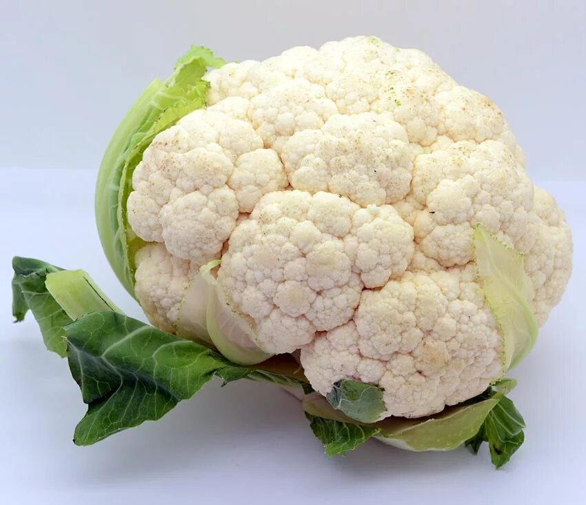 Капуста цветная е6. Cauliflower f1. Капуста цветная мультибол f1. Цветная капуста без масла