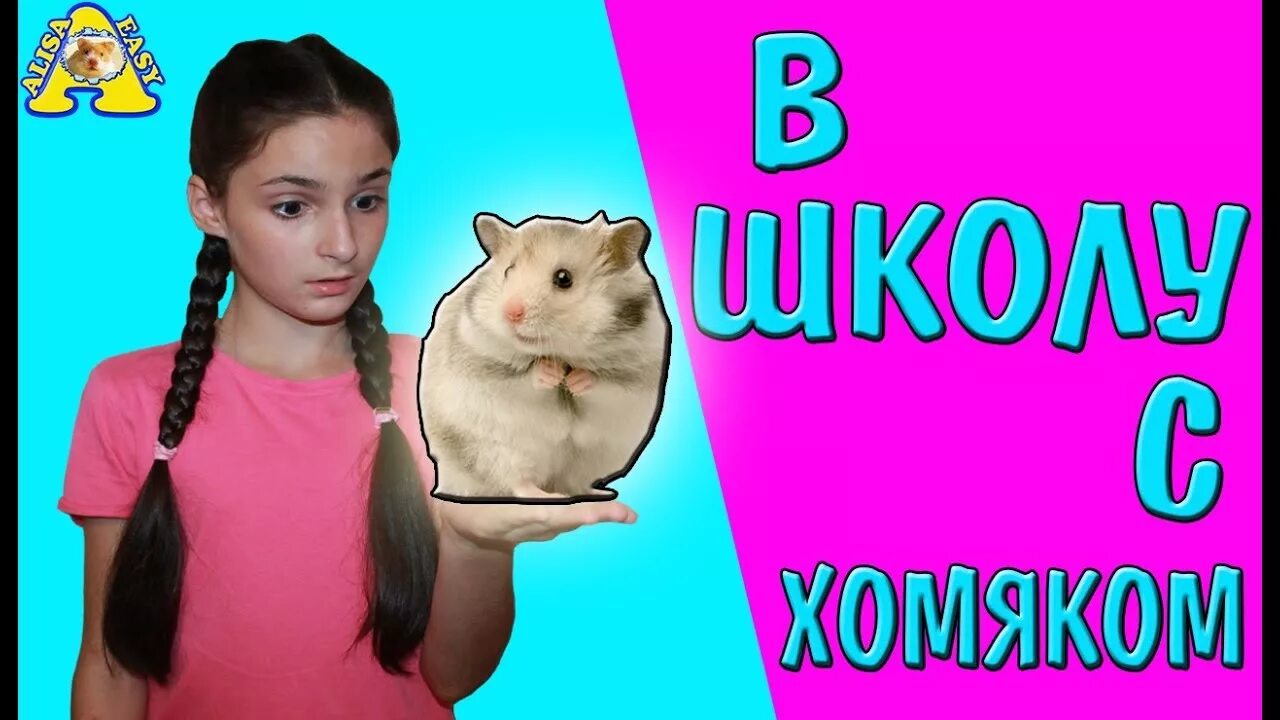 Easy pets. Алиса ИЗИ петс хомяки. Алиса ИЗИ. Школа для хомяков. Алиса хомяк.