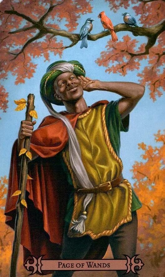 Таро значение сочетания паж жезлов. Таро паж скипетров. паж жезлов таро. карта таро паж жезлов. карта таро паж булав.