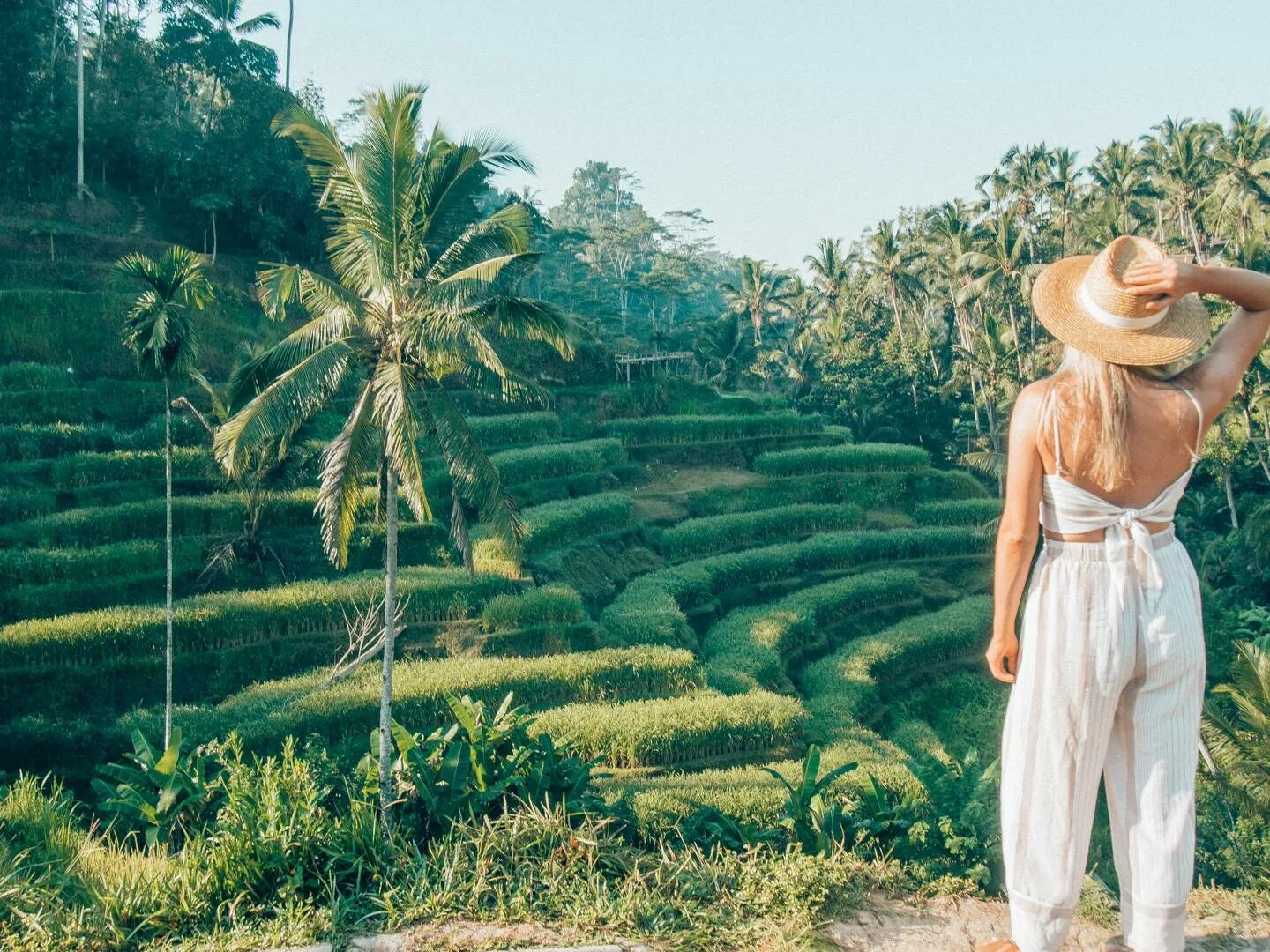 Амед бали. Бали ороллари. Туристы на бали. Parq ubud бали. Бали тарзанка.