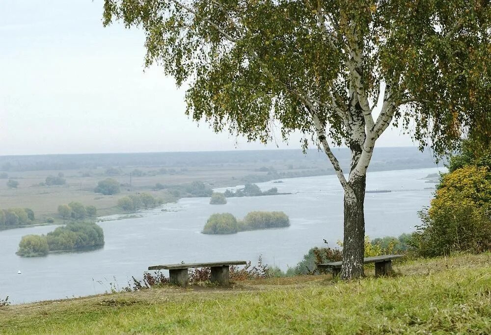 Родина Сергея Есенина село Константиново. Село Константиново Рязанская область Родина Есенина. Константиново Рязанская область Есенин. Природа села Константиново Родины Есенина.