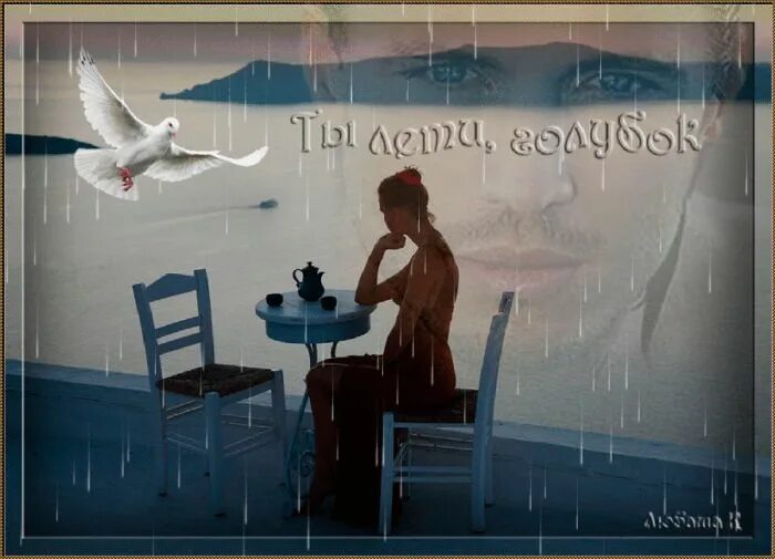 птица вырвалась из клетки. птица вылетает из клетки. я на волю сизым голубком наговицын. я на волю как из клетки сизым. наговицын этап.