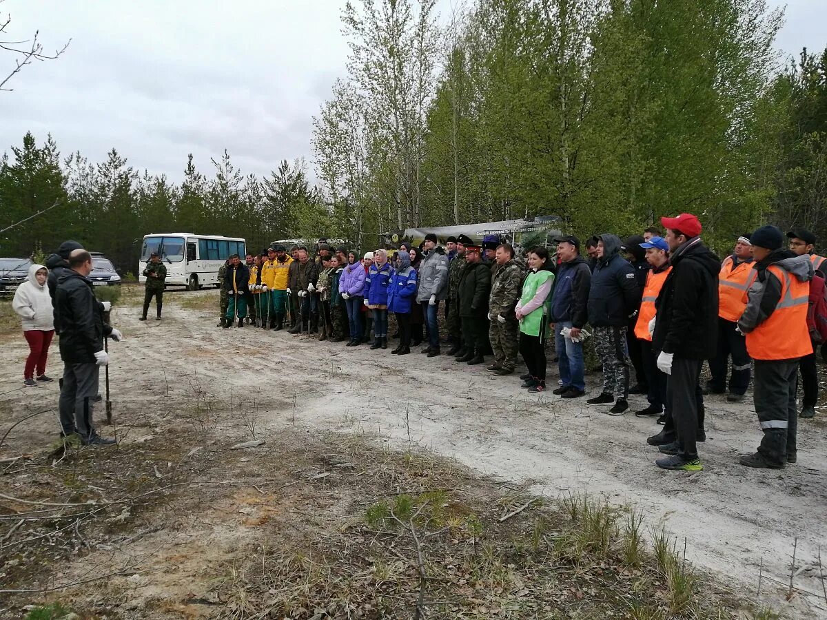 Департамент природных ресурсов хмао югра. Сургутское лесничество ХМАО. Сытомино Сургутский лесничество. Лесничества Сургутского района. Сургутского лесхоза установлена.