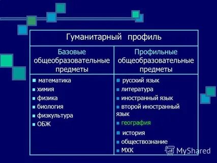 Что такое профильный предмет