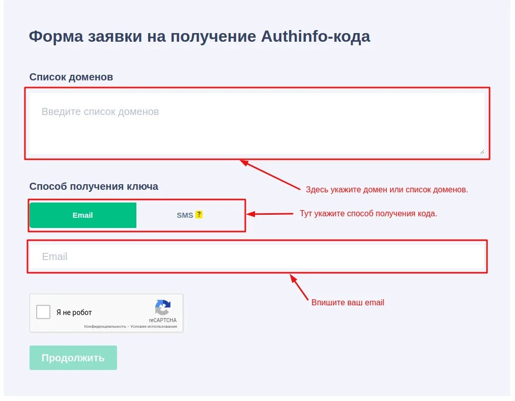 Форма заявки на получение AUTHINFO-кода. AUTHINFO-код что это. Рег ру. Ключ AUTHINFO. Reg form ru