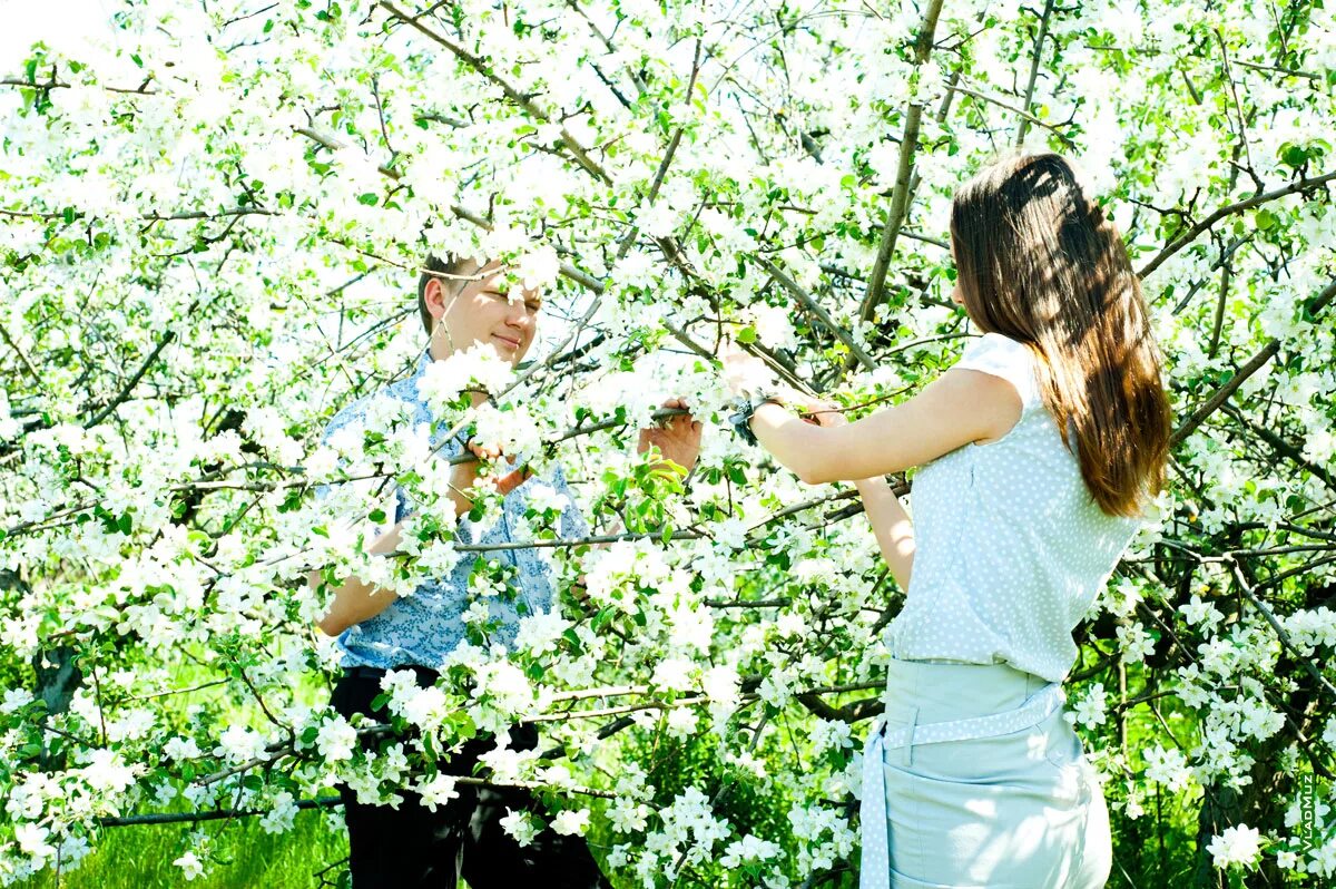 Пара яблонь. Влюбленные в весеннем саду. Девушка в весеннем саду. Мужчина в весеннем саду. Девушка с парнем в цветущем саду.