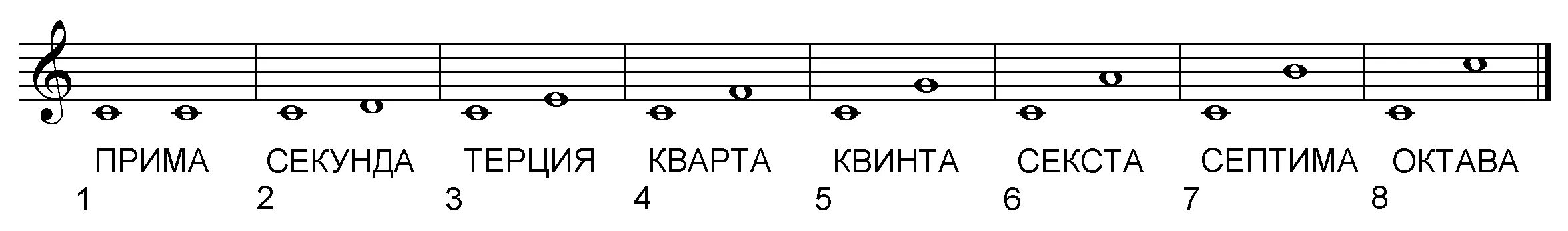 Читать прима. Секунда Терция Кварта Квинта. Прима Кварта Квинта Октава. Интервал Октава сольфеджио. Интервал Терция малая и большая.