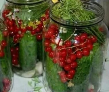 Огурец смородина