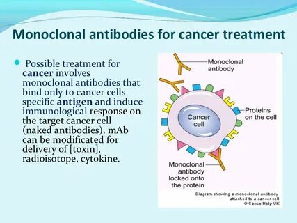 Monoclonal antibodies