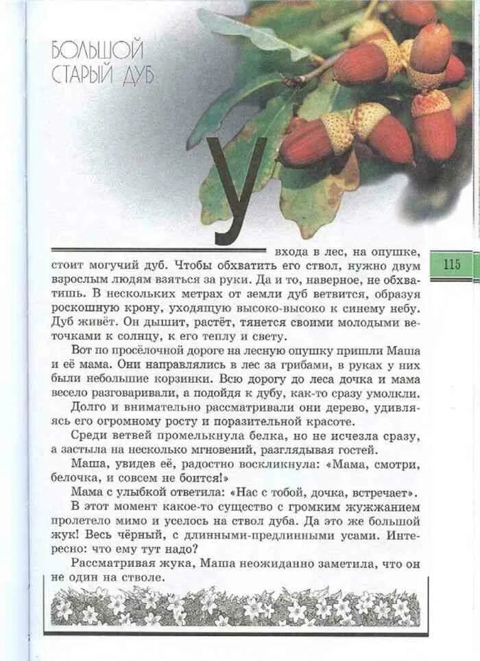 Рассказ великан на поляне 2 класс. Великан на поляне большой старый дуб. великан на поляне большой дуб. книга великан на поляне большой старый дуб. великан на поляне 2 класс окружающий мир большой старый дуб читать.