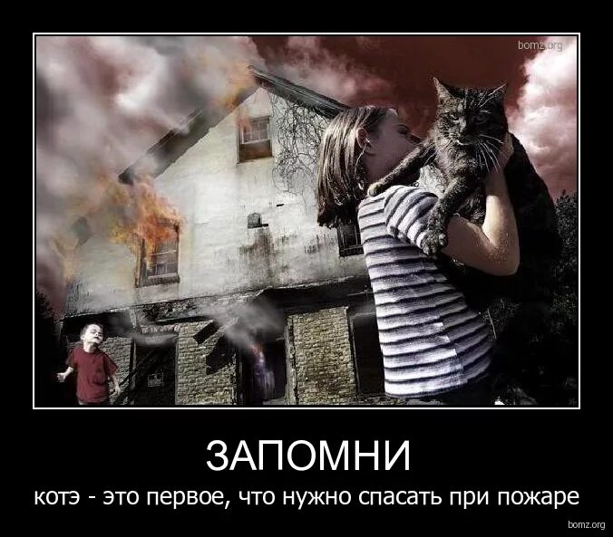 не пытайтесь спасать тех кто не хочет спасаться. фраза спасение утопающих дело рук самих утопающих. врагу не сдаётся наш гордый варяг прикол. картинка очередь в магазине смешные. очередь в магазине прикол.