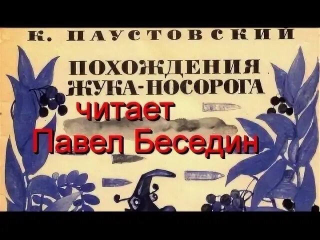 Похождения жука носорога вопросы