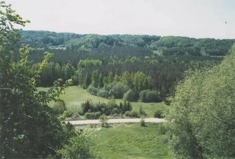 Вашина гора псковская