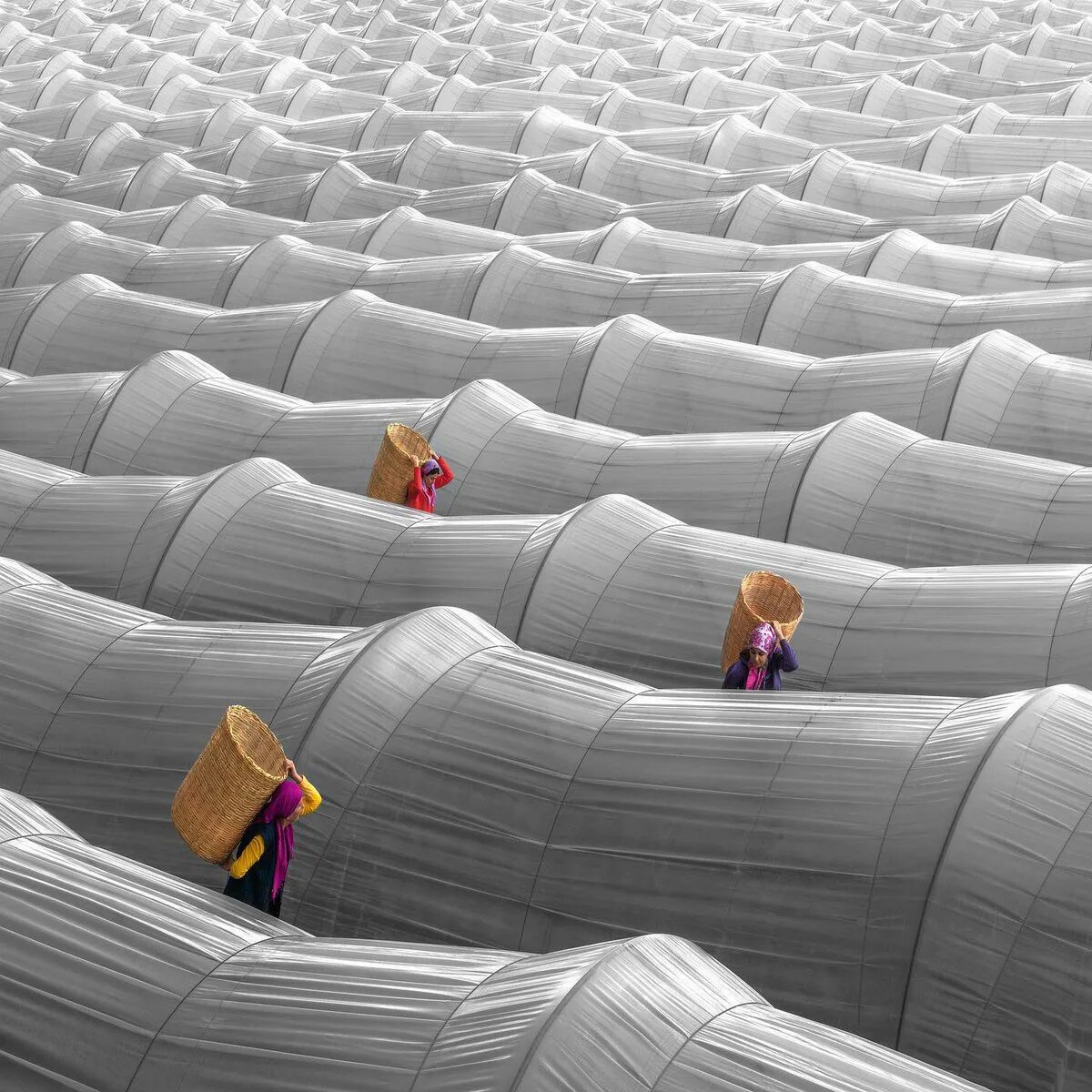 Шезлонг из искусственного ротанга. Пуфик велюр круглый. Шторы с пальмами. Центр гейдара алиева баку. Огромный огромный диван.