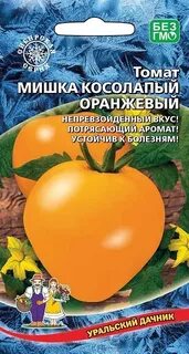 Томат мишка косолапый малиновый
